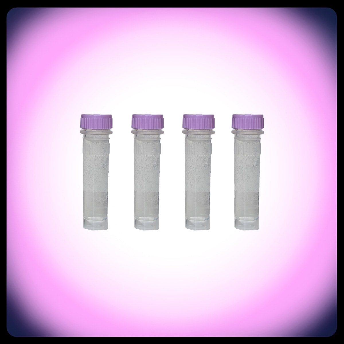 4X DHT Thwart vials